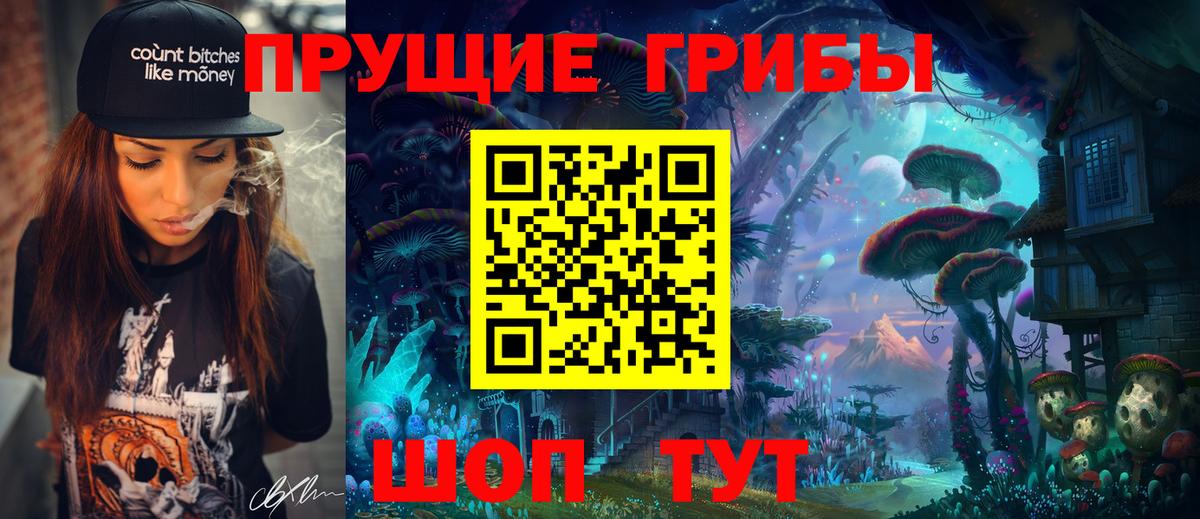 Миасс  Галлюциногенные грибы Cubensis  Вход с VPN 