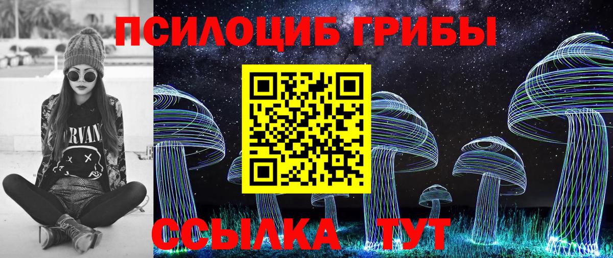 Галлюциногенные грибы GOLDEN TEACHER Миасс